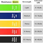 5-Pack Resistance Bands Set for Working Out, Strength Training, Stretching, Pilates, Yoga, Physical Therapy - Elastic Exercise Bands for Home Gym, Legs, Glutes, Arms - Ideal for Women & Men