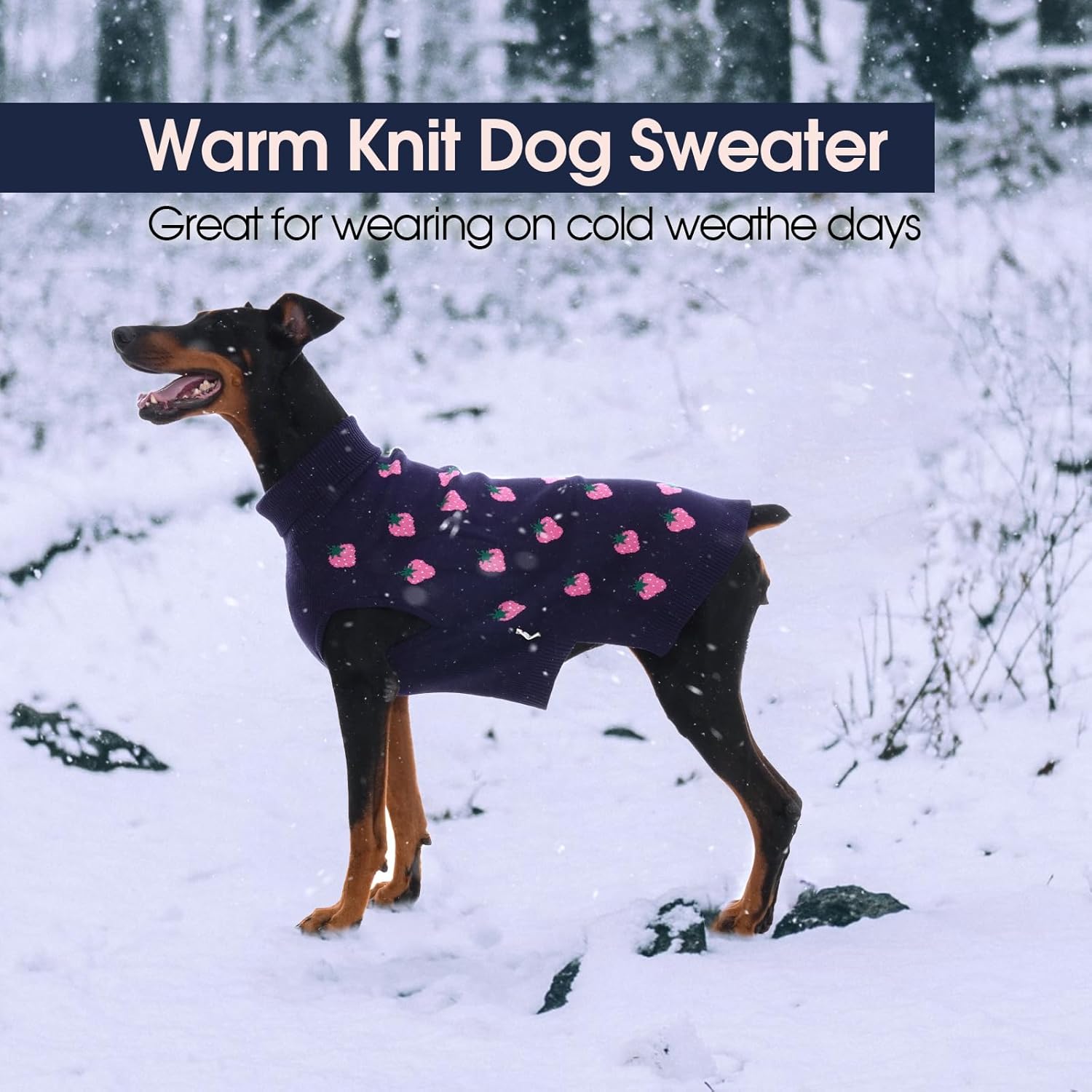 IECOii 2 Pack XL Dog Sweater for Large Dogs Girl, Dog Turtleneck Cute Strawberry Warm Pullover Jumper with Leash Hole, Stretchy, Thick Doggy Sweaters for Fall and Winter, Blue + Pink – XLarge