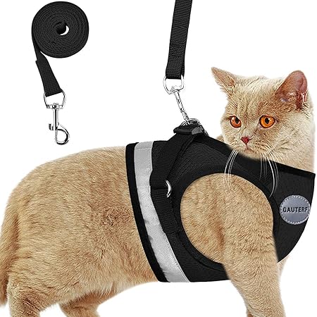 best cat harness for large cats