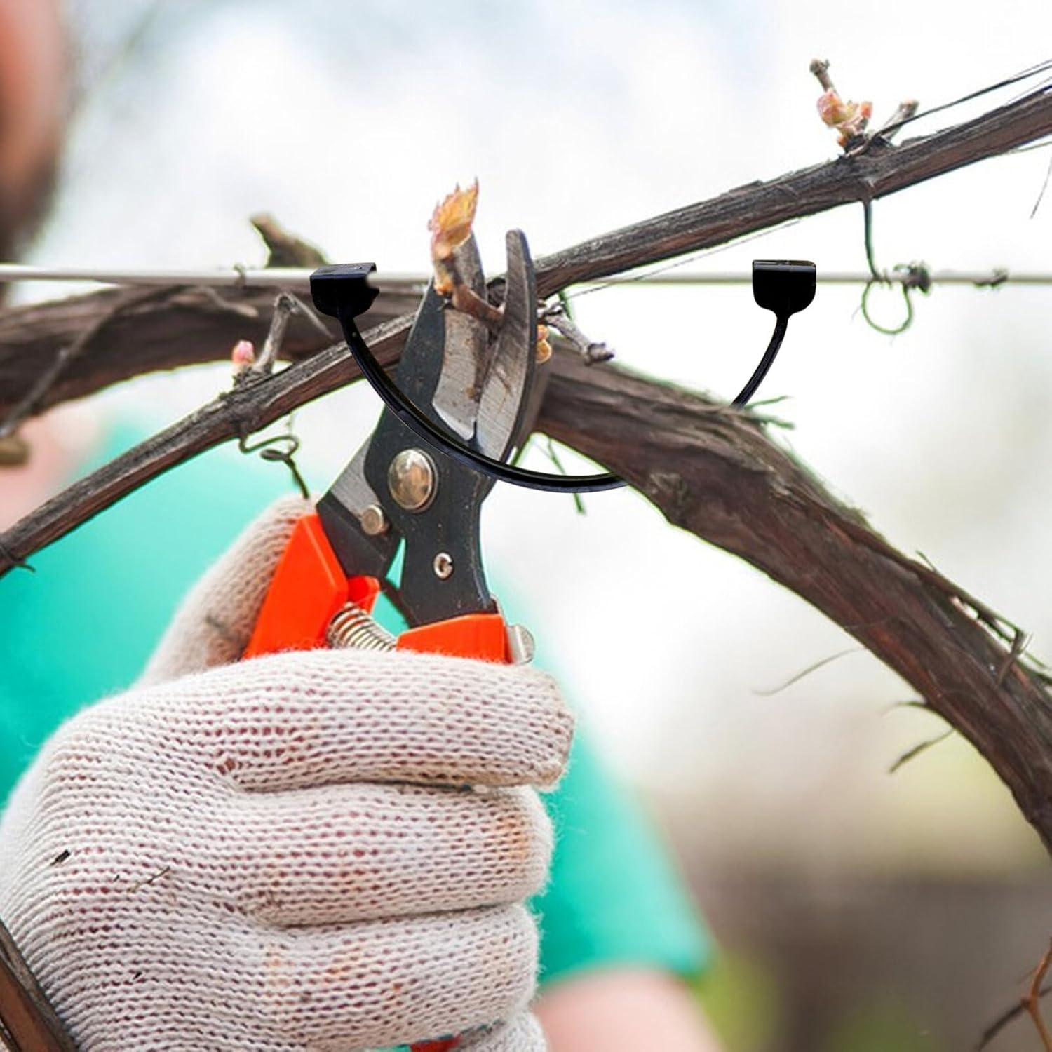 HANABASS 1bag Grape Vines Plant Support Clips Plastic Plant Fixing Clips for Garden Use Smooth Touch Safe for Stem Support