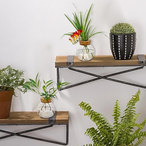 Miniatura 6 de Estación de propagación de plantas, jarrón hidropónico de terrario, estación de maceta de vidrio de escritorio, para casas, decoraciones de jardín,