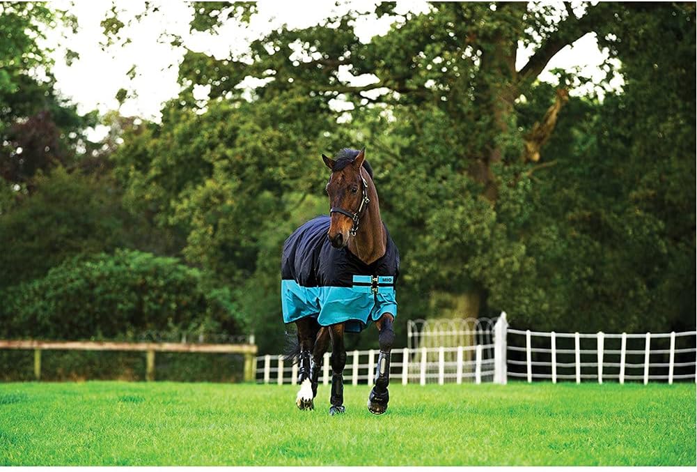 Amigo Mio Turnout Lite 0g Black/Turquoise 66