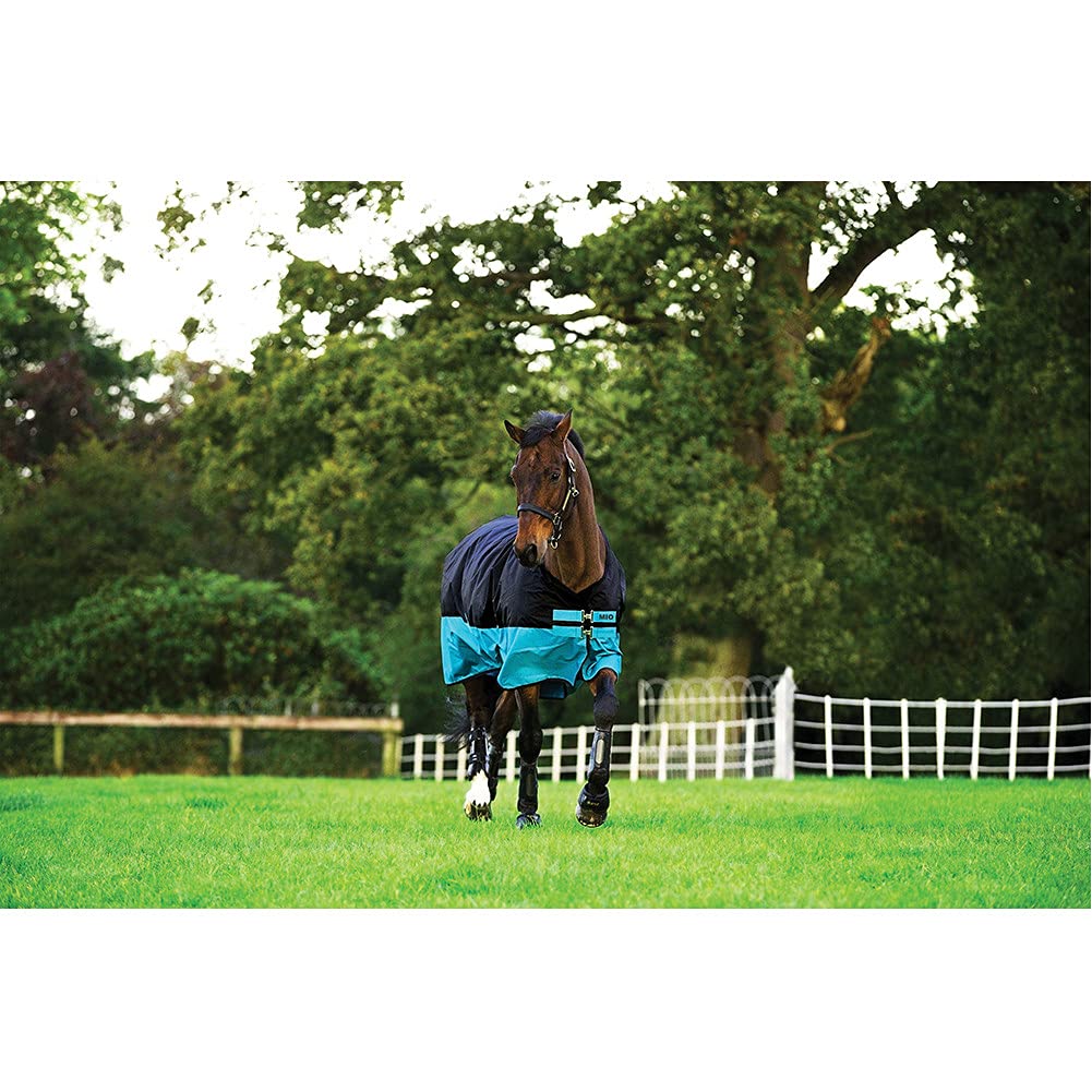 Mio T/O Lite Noir chemise imperméable poney 75cm