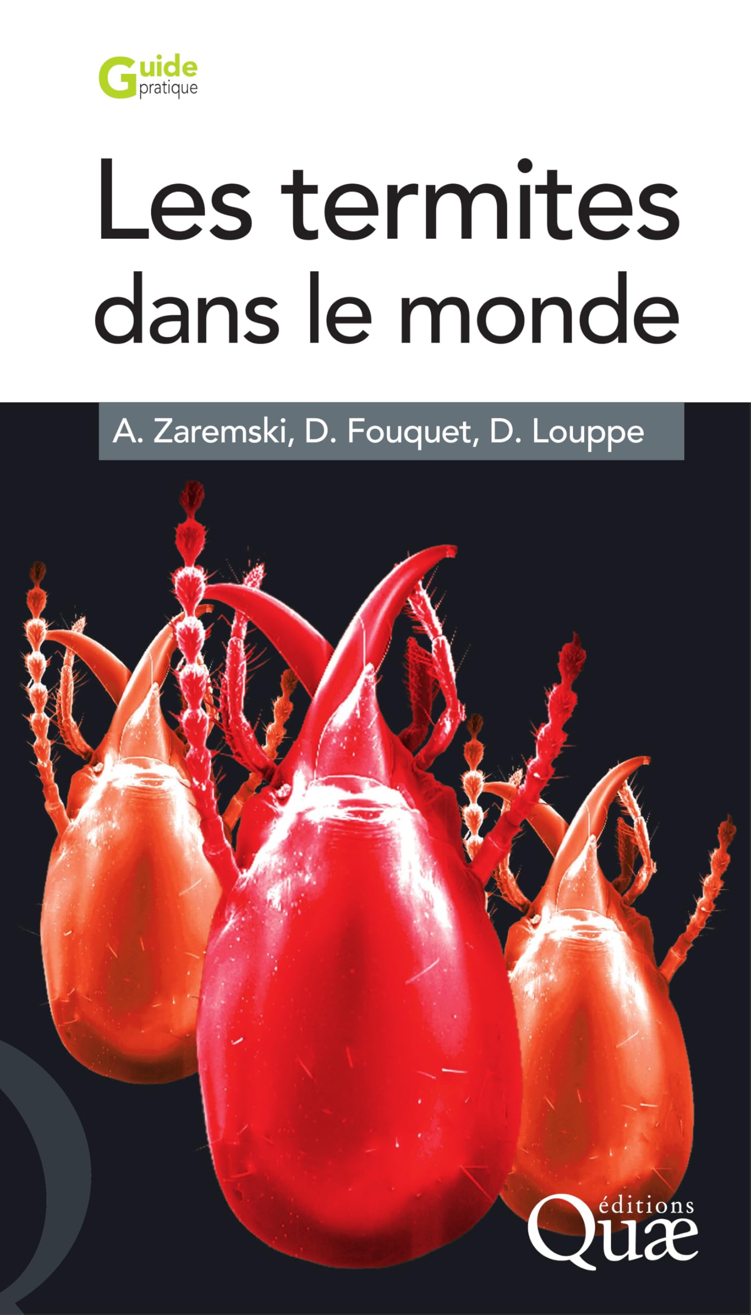 Les termites dans le monde (Guide pratique) (French Edition)