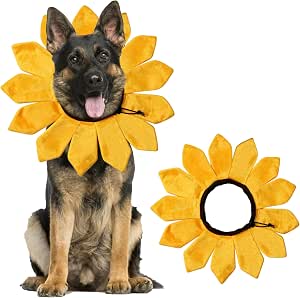 Sunflower Dog Costume - Adjustable Collar for Small to X-Large Dogs