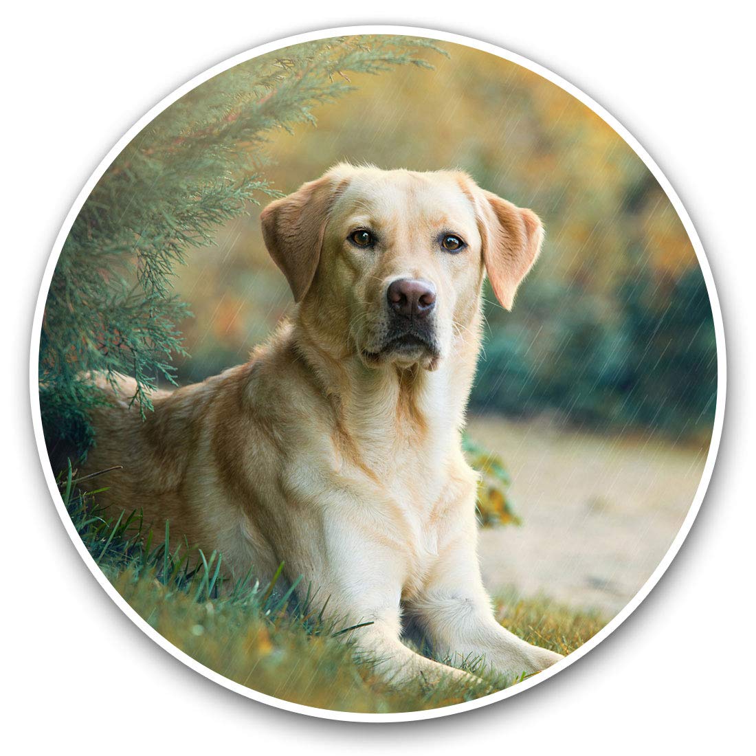 Destination Vinyl Ltd Labrador Retriever Dog Pet 21777 Vinyl Stickers (Set Of 2) 7.5Cm - Labrador Retriever Dog Pet #21777