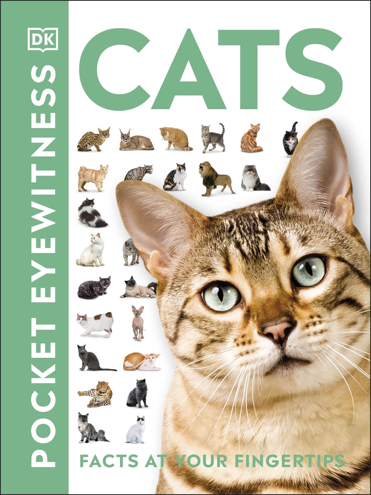 Cats: Facts at Your Fingertips (Pocket Eyewitness) Paperback – January 2, 2020