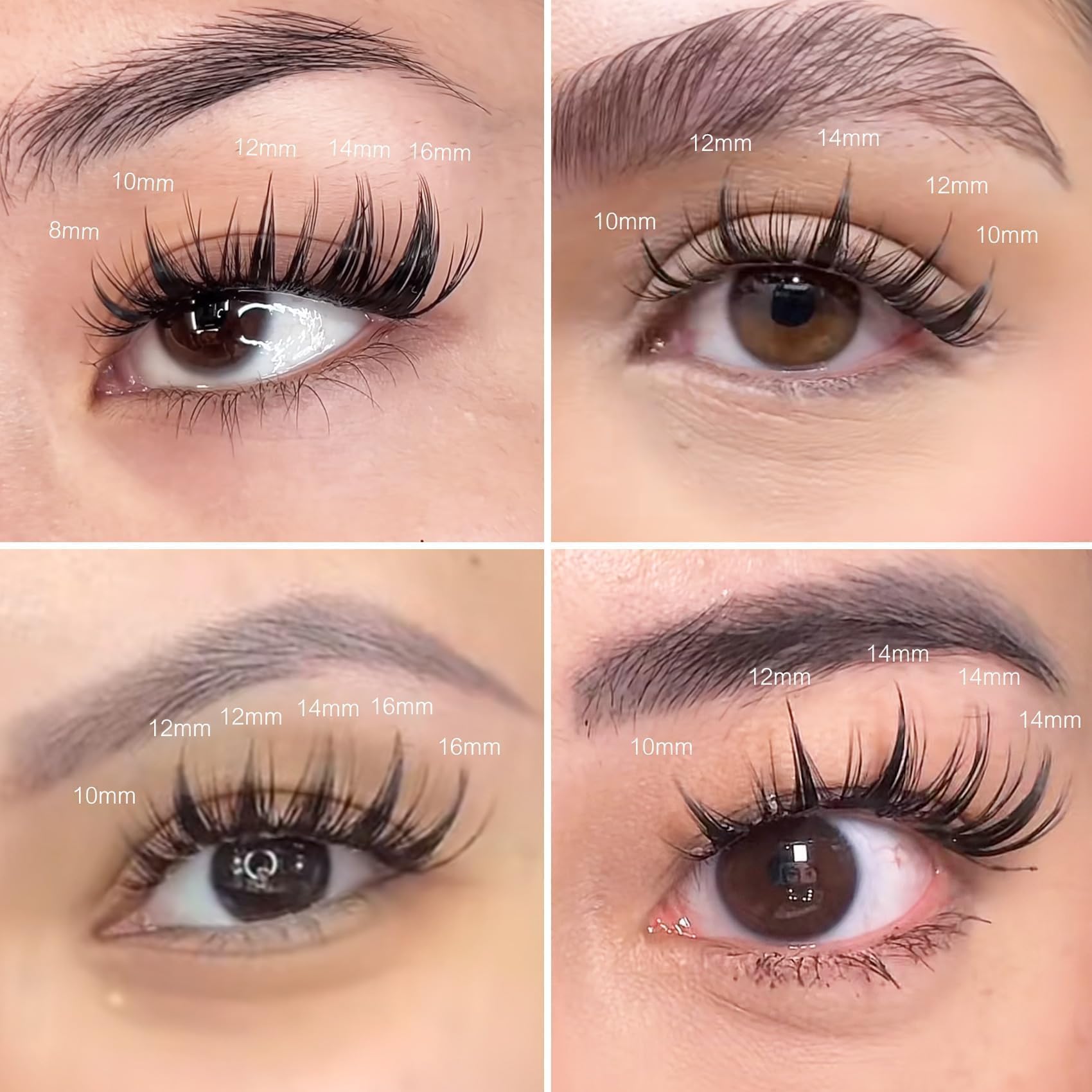Amazon.com: Fairy Lash Clusters Manga Lash Extensions, YASNAI