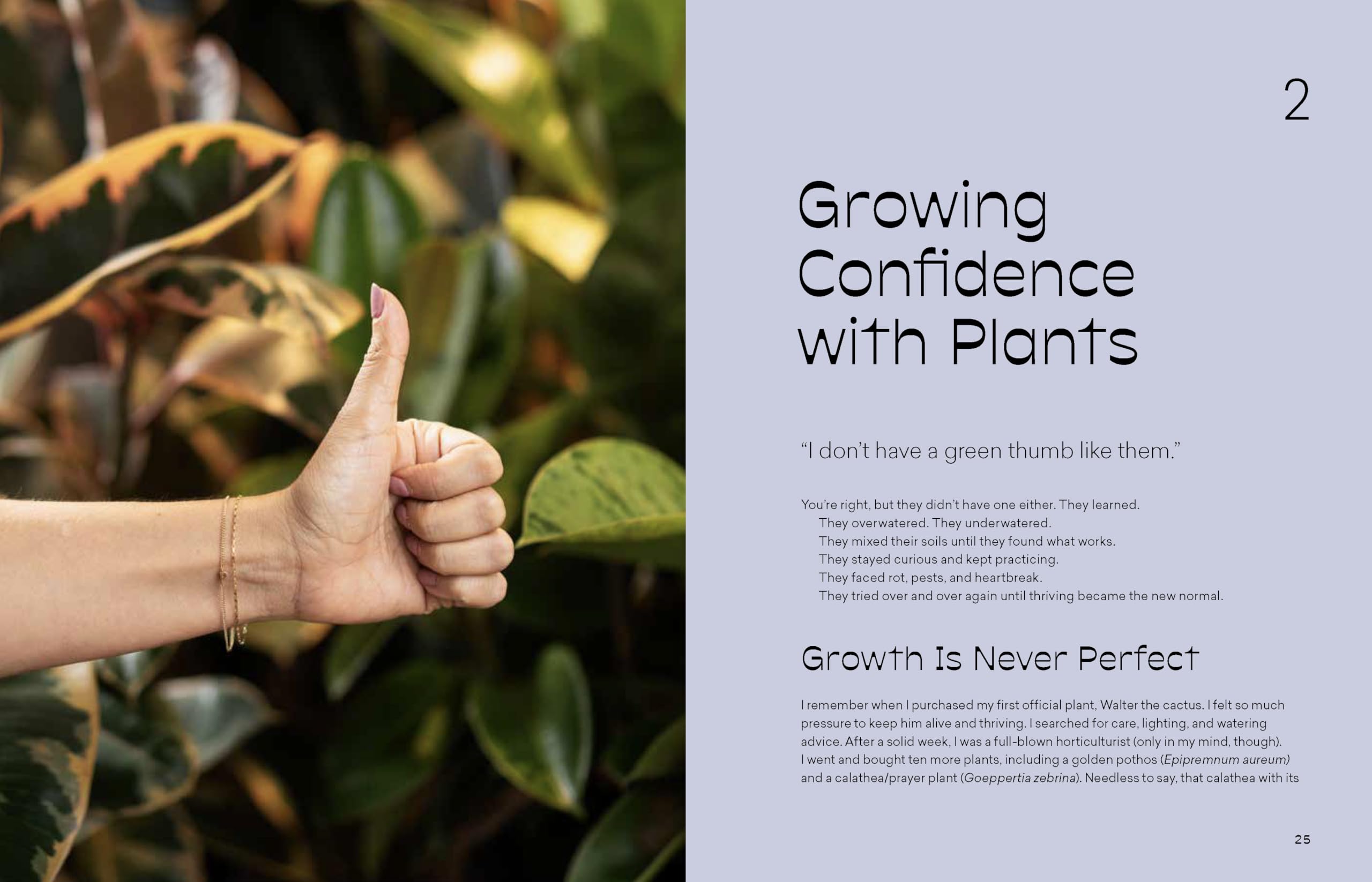 More Than Just a Plant: How to Care for Your Plants as They Care for You