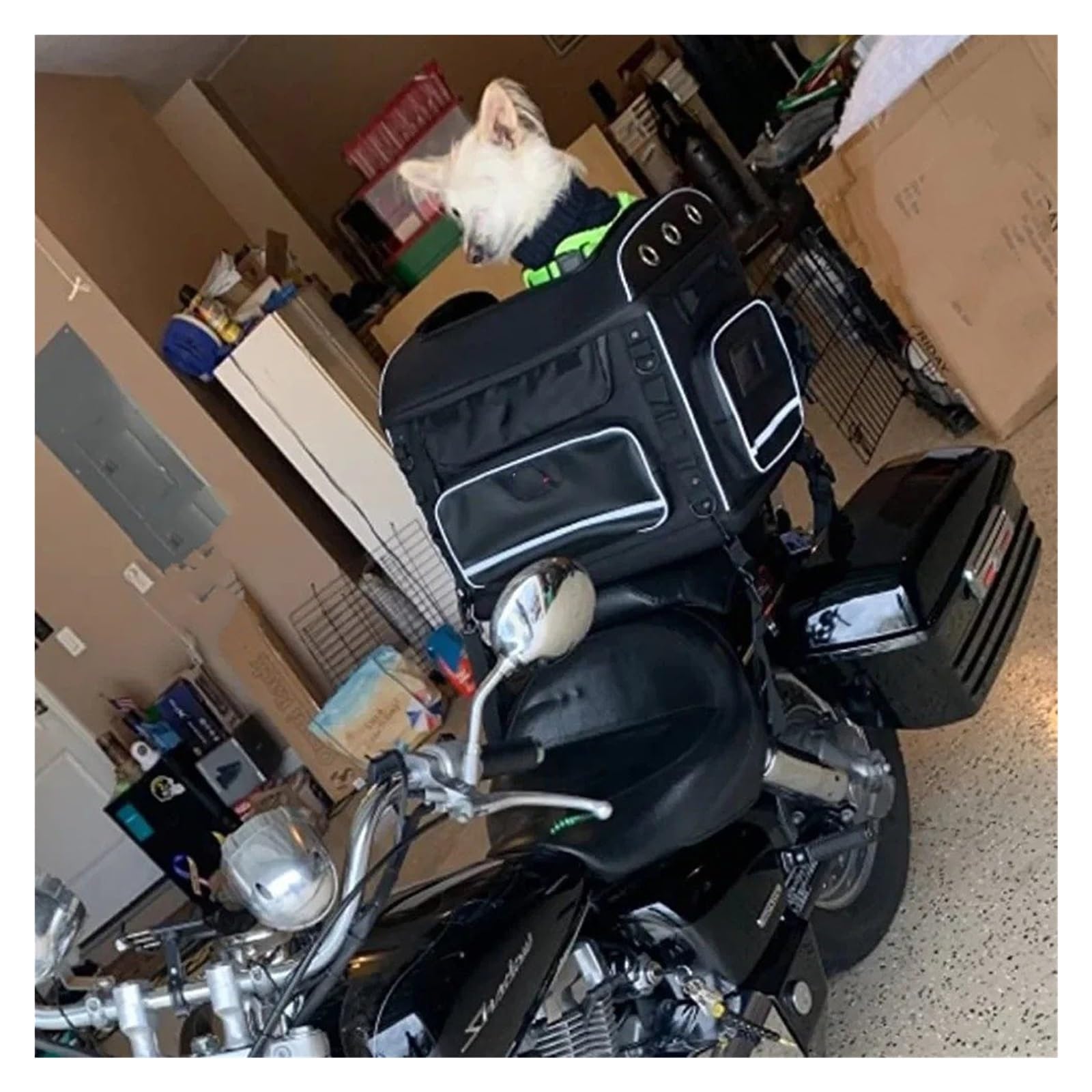 Sacoche Réservoir Moto Pour Animal - Transport Chien/chat Jusqu'à 9 Kg, Approuvé Compagnies Aériennes