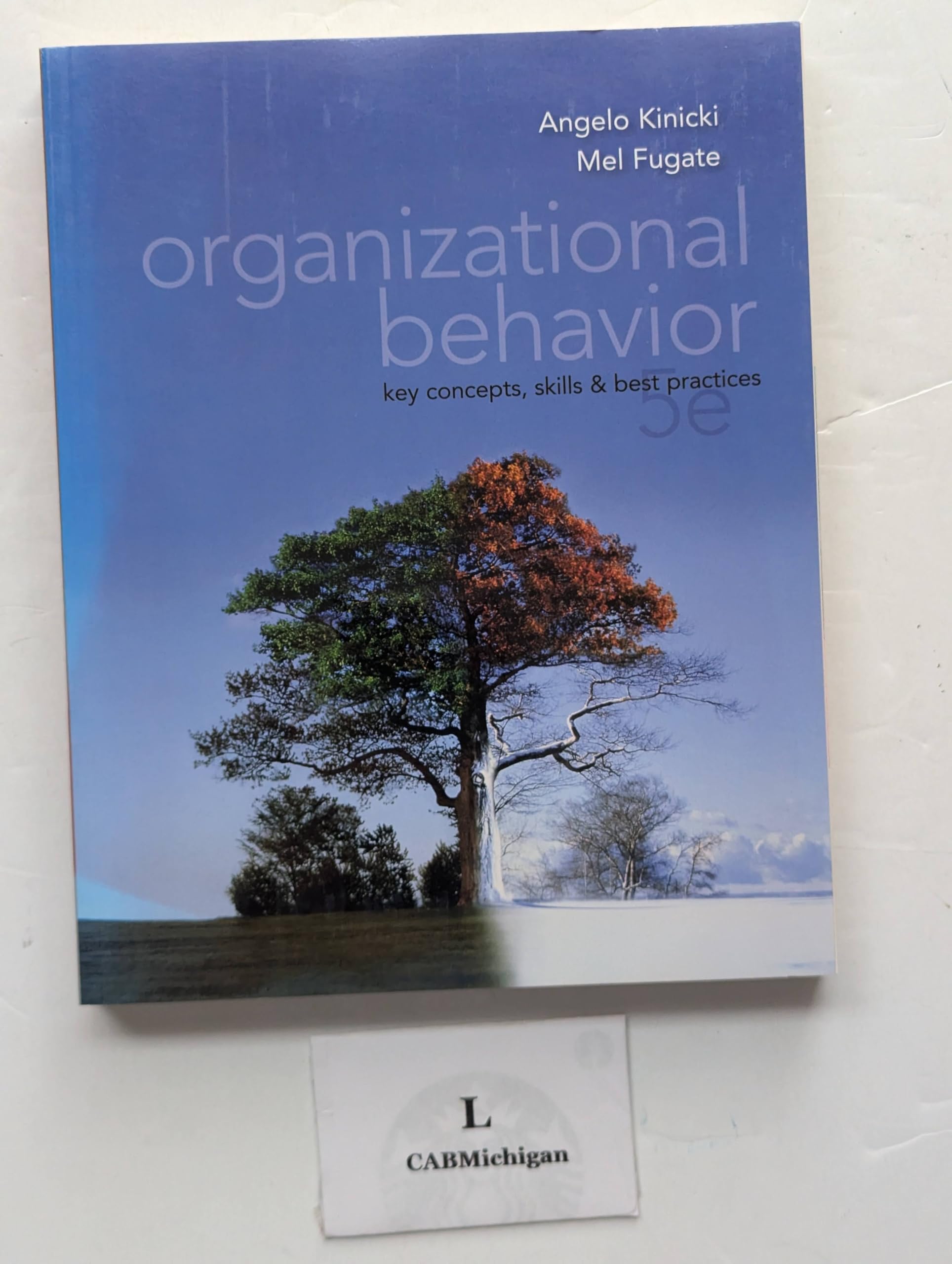 Organizational Behavior: Key Concepts, Skills & Best