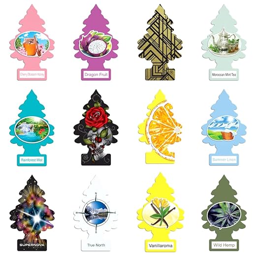Little Trees Home and Car Air Fresheners 12 Pack Vacation Pack Ultra Rare Scents