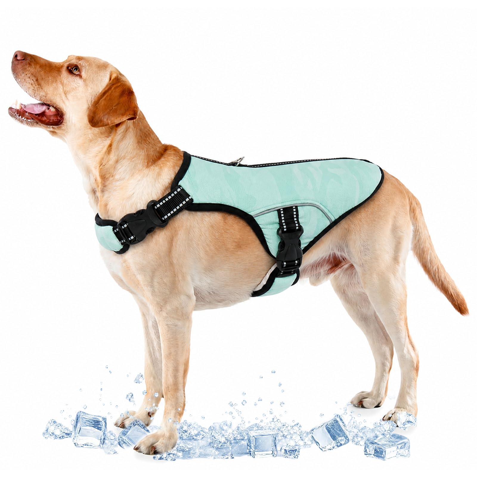 Veste d'été cool pour chien gilet rafraîchissant vert pour randonnée outdoor