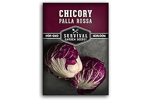 Palla Rossa Radicchio Seeds: Grow Your Own Italian Garden
