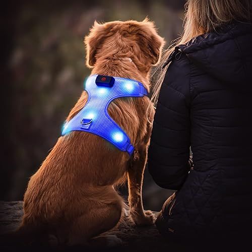 Miniatura 2 de Flashseen Arnés LED para perro, arnés para mascotas recargable por USB, chaleco reflectante iluminado, ajustable, suave acolchado, sin tirones, para