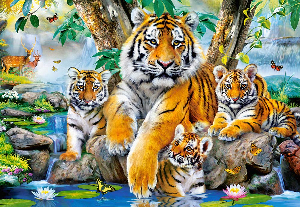 Puzzle Castorland 1000 Pezzi: Viaggio In Bus Di Gatto - 68x47 Cm, Per Adulti E Ragazzi Dagli 12 Anni, Alta Qualità