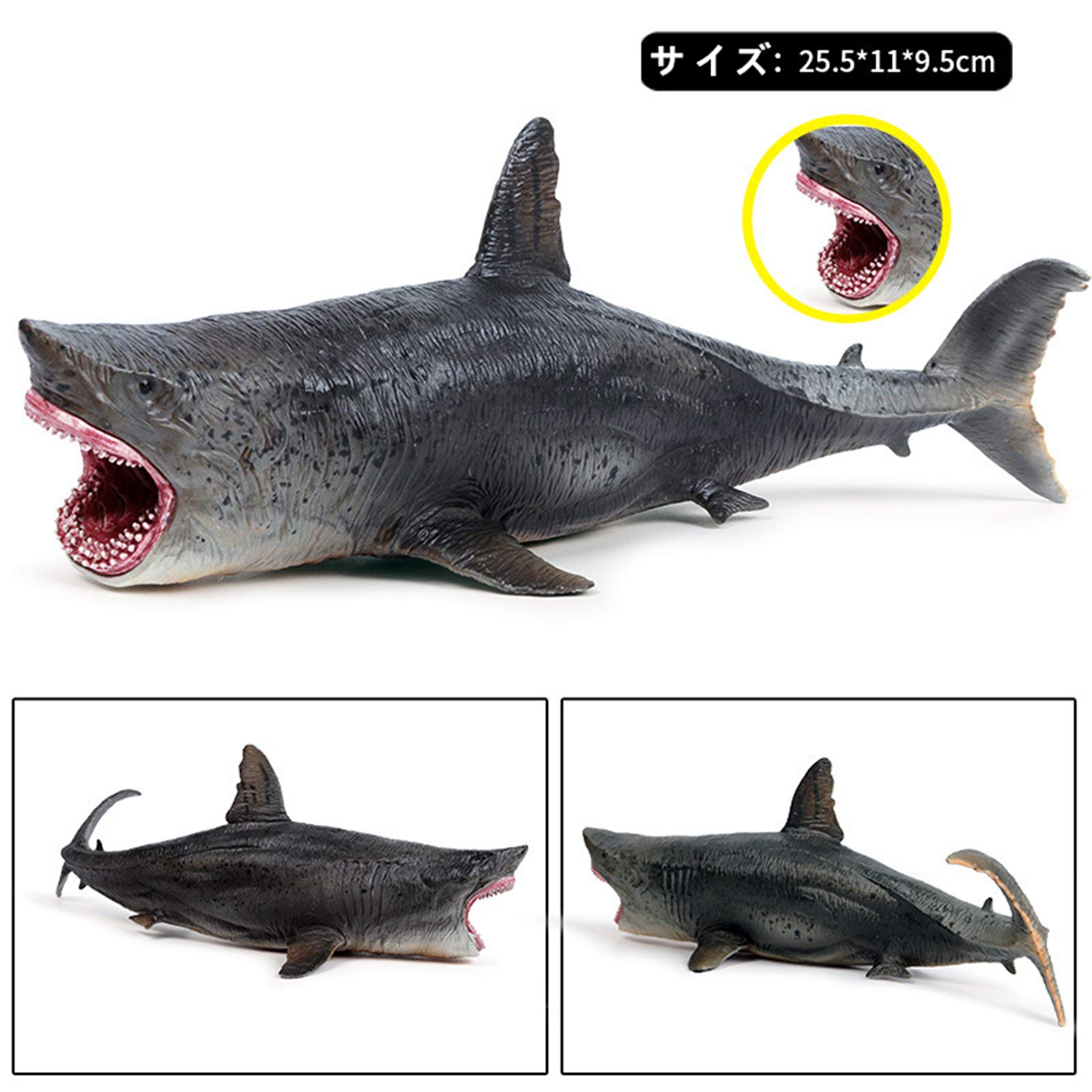 Amazon | Eden Toys メガロドン ホホジロザメ サメ リアル 海洋動物 