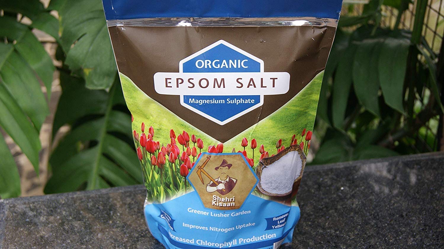 SHEHRI KISAAN® Epsom Salt for Plants 420 gr + Plant Magic – Smart Release Organic Growth Booster- 250 gr