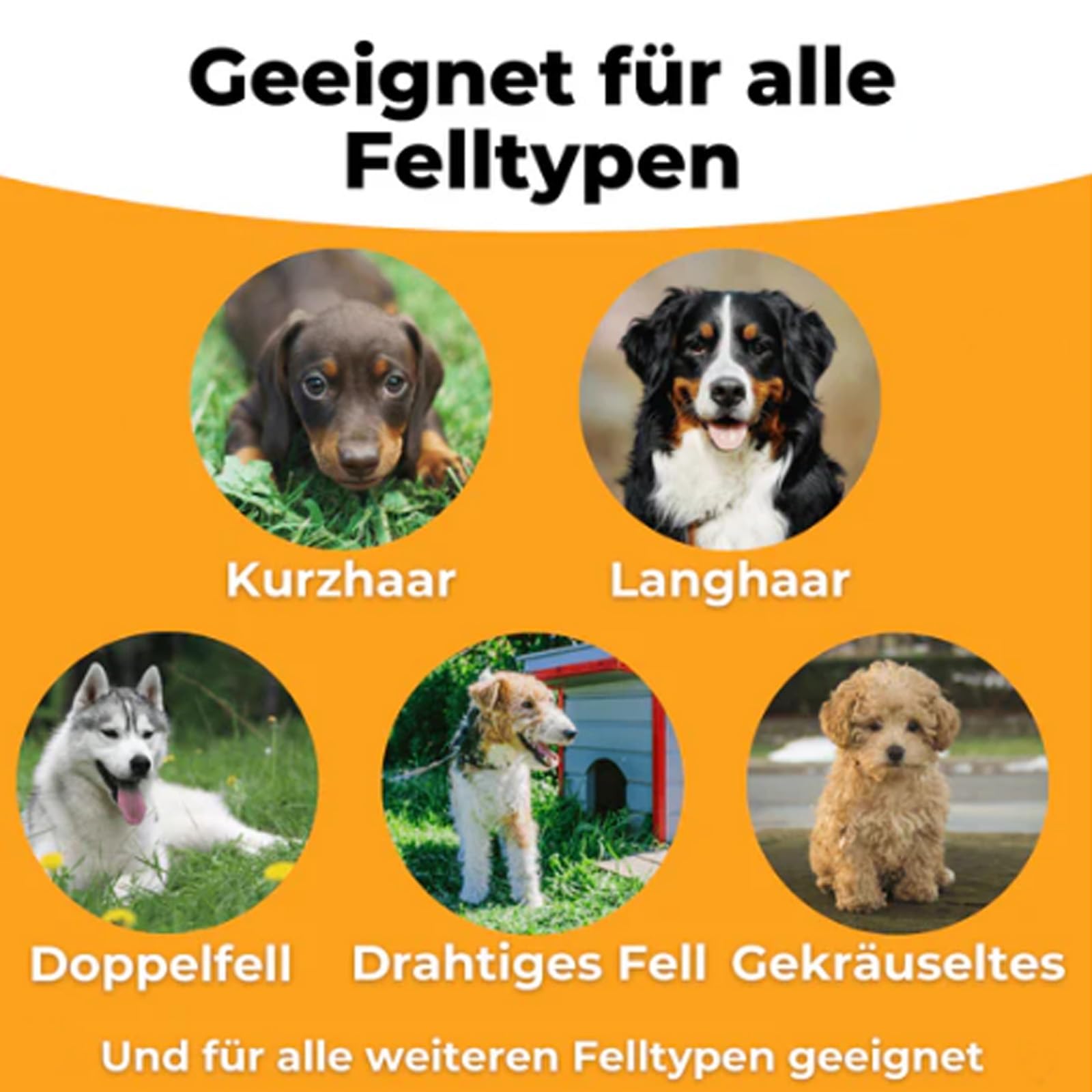 Per Groomify Spazzola per animali domestici,Per Groomify Spazzola Mr Waggy Tails,Spazzola per Toelettatura Cani e Gatti, Rimuovi Pelo Animali,Pettine Cani Gatti Animali Domestici,Deshedding Pet Comb