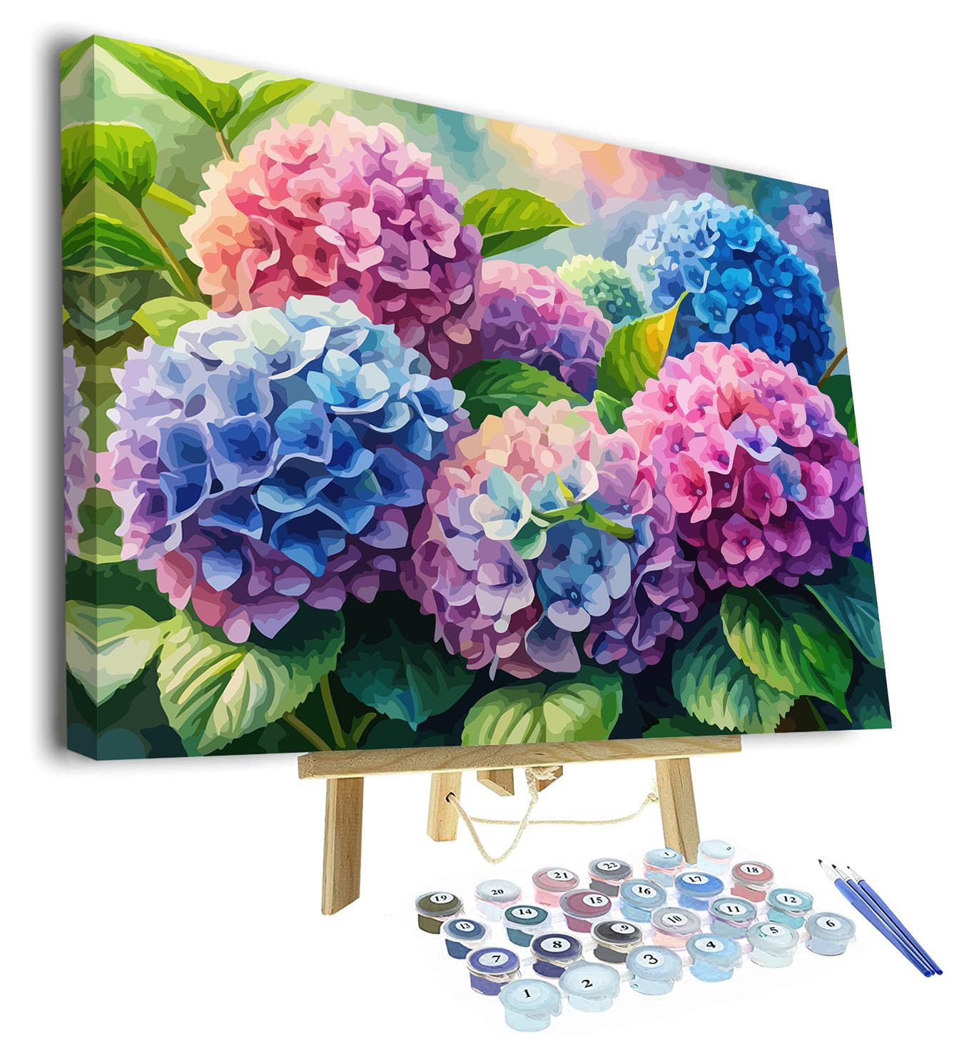 TISHIRON Paint by Numbers for Adults & Adult Paint by Number Kit - Watercolor Hydrangeas Bloom Floral Canvas, Beginner-Friendly DIY Painting Kit, Arts and Crafts for Adults - 16x20 Inch, Framed