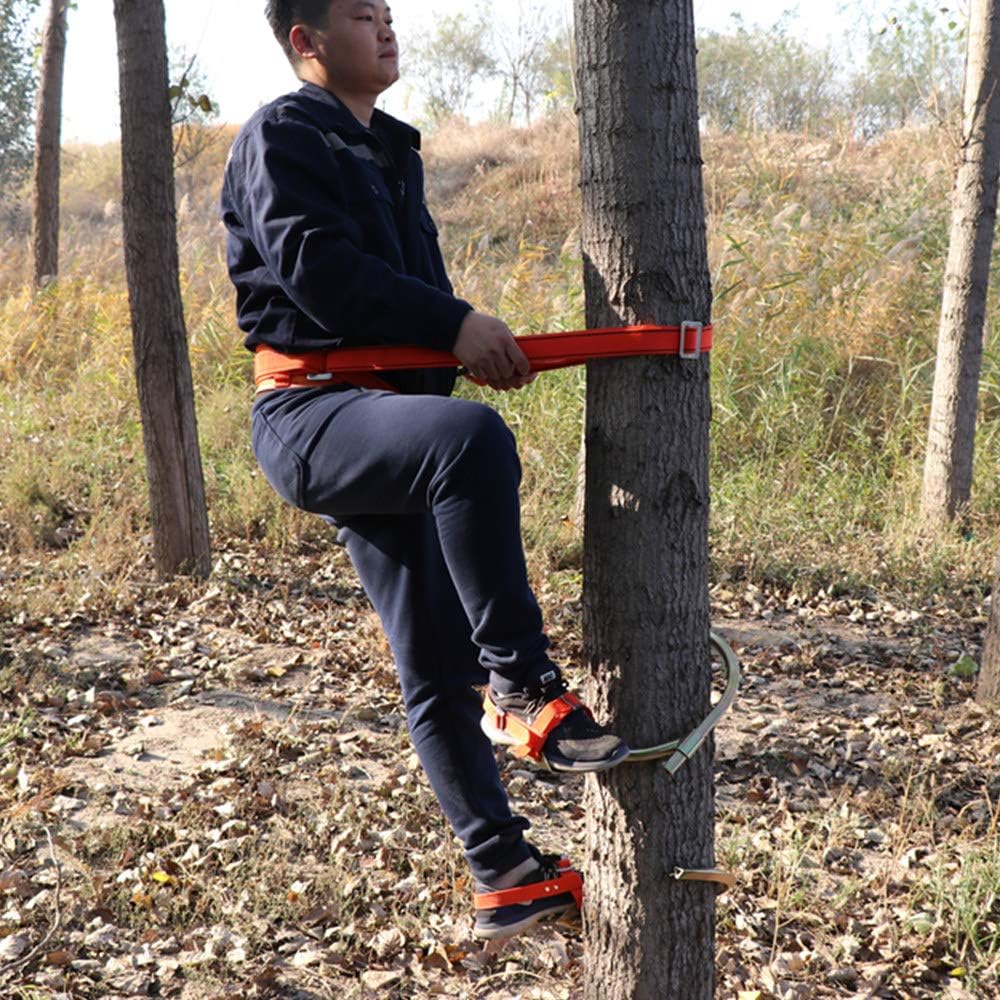 Non-Slip Climbing Tree Spikes, Tree Climbing Gear, Tree Climbing Tool for Hunting Observation, Fruit Picking, Coconut, Easy to Use.,350Model