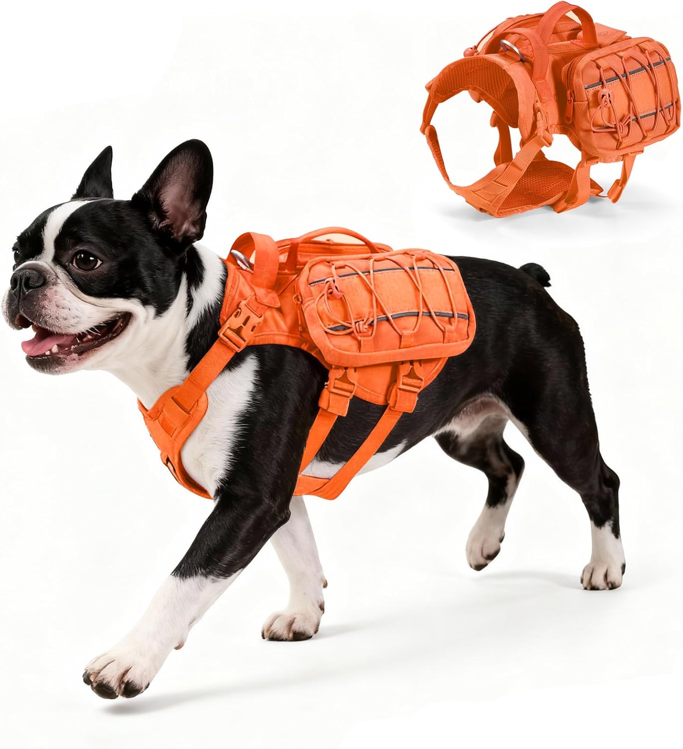 Adjustable No-Pull Dog Harness for Small Breeds – Hiking & Training