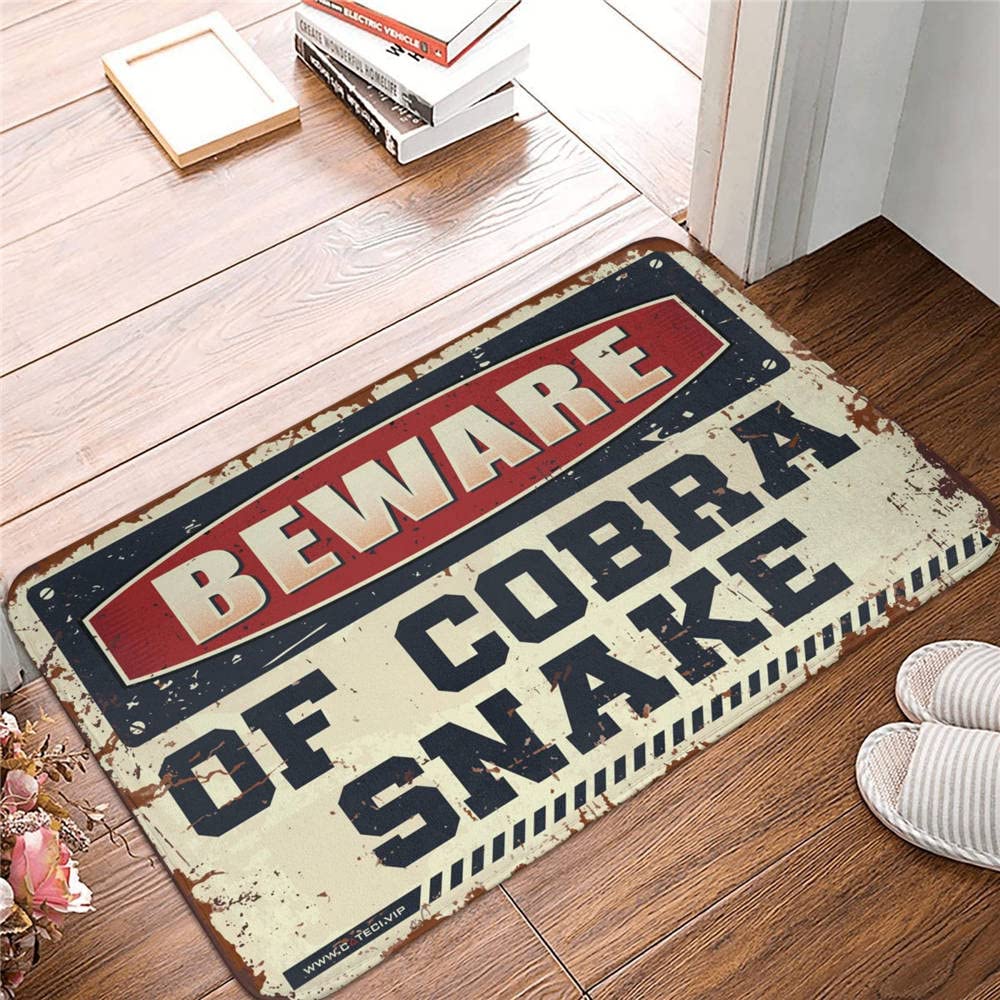 Tapis rétro pour entrée extérieure anti-saleté grand format 65 x 90 cm avec motif serpent amusant