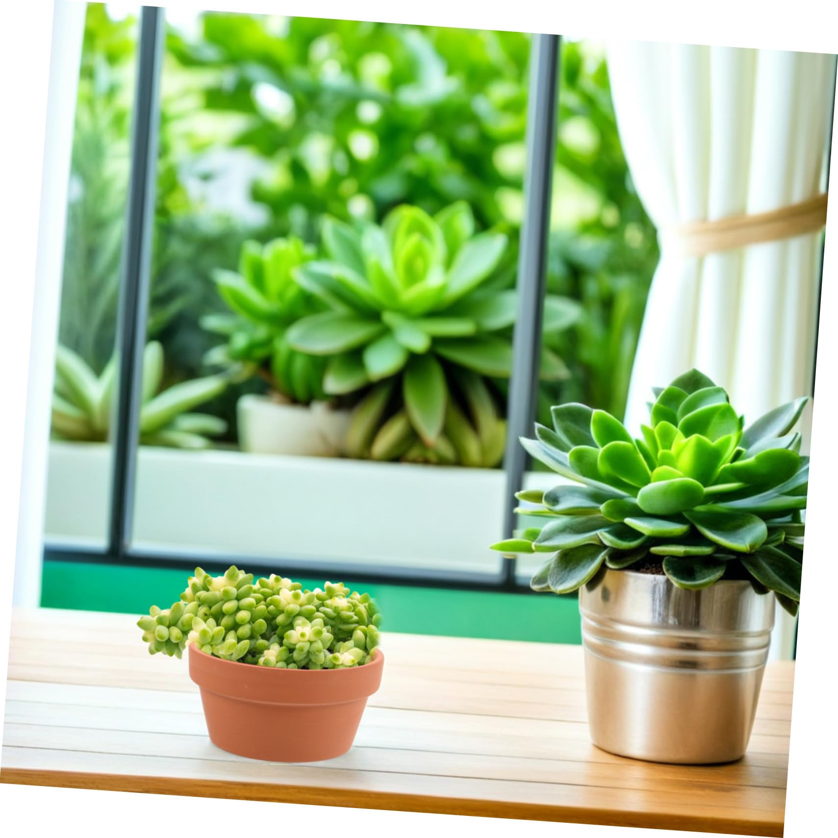 6pezzi Vasi in Terracotta Mini per Pianta Grasse Vasi Ceramici Piccoli per Fiori Terracotta per Cactus da Interno Fioriere Rustiche Contenitori per Piante da Tavolo