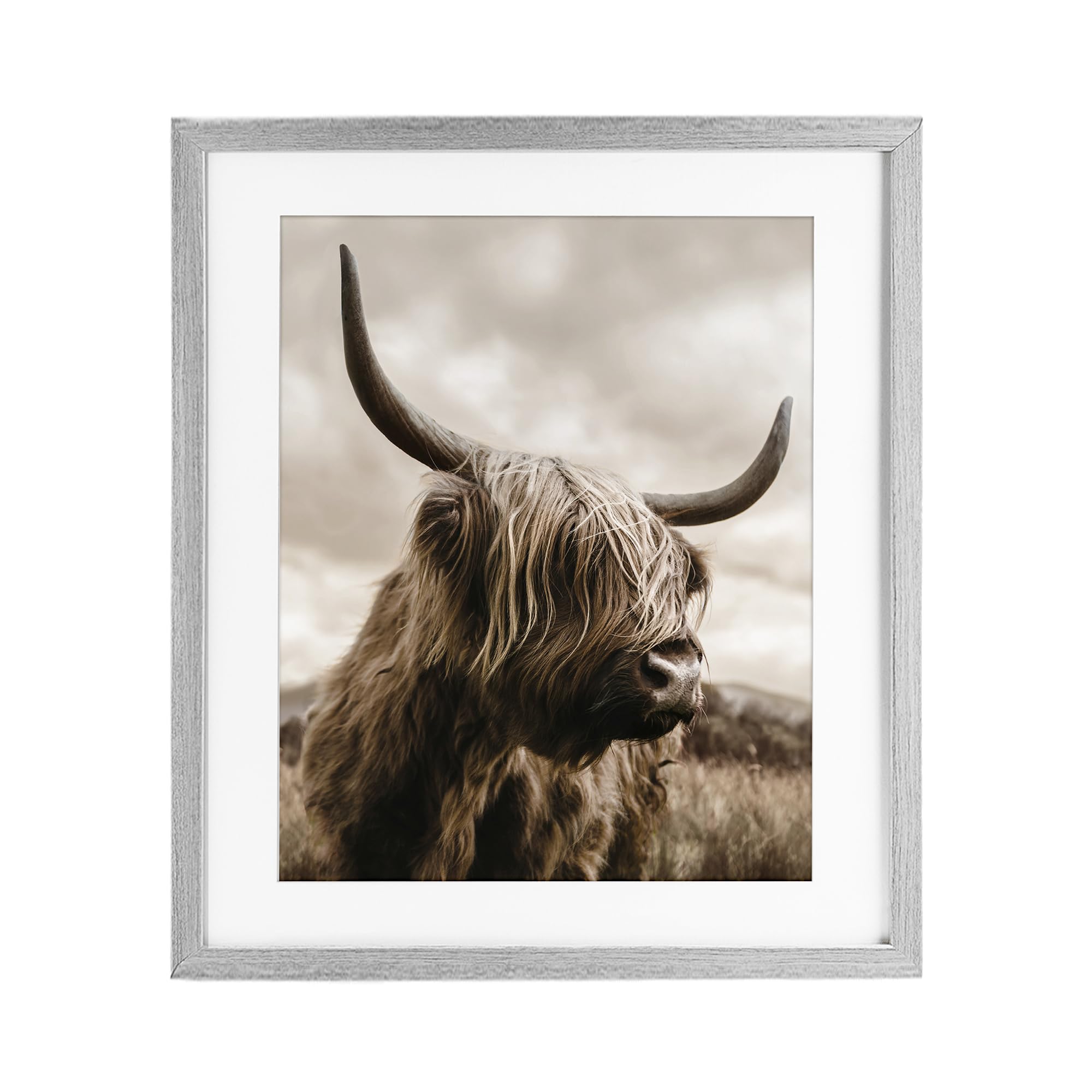 Stupell Industries 'Highland Cow on Windswept Moor', Framed Print Under Glass, Gray, 17 x 21 Inches, Easy to Hang and Sturdy, Made in USA, by CAD Designs