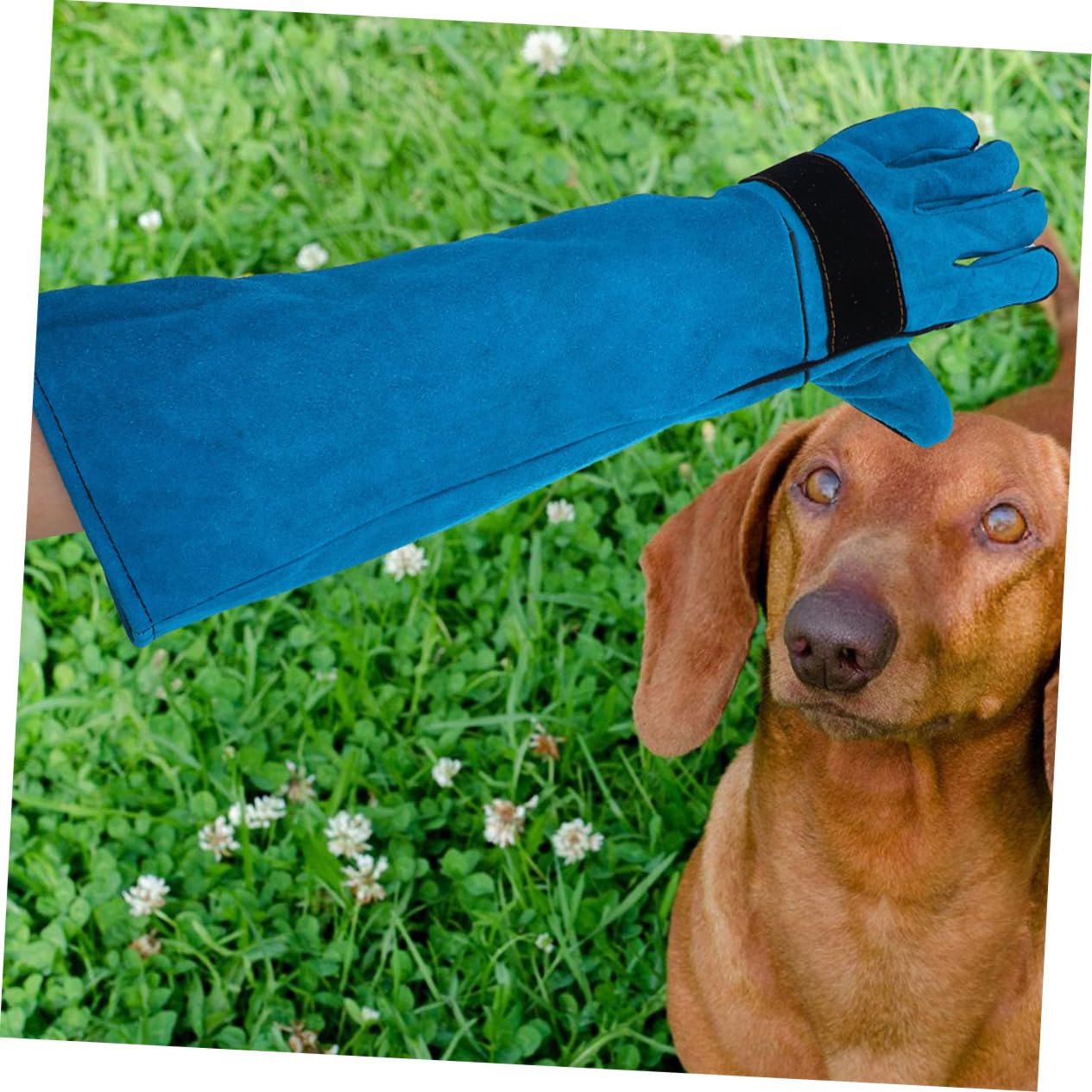 Leder Schweißhandschuhe Ärmel Hund Katze Pflege Handschuhe