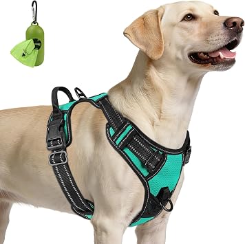 Joytale No Pull Dog Harness for Large Dogs, Reflective Pet Vest with Front Clip, Adjustable Soft Padded Harnesses with Easy Control Handle for Training and Walking, Teal, L