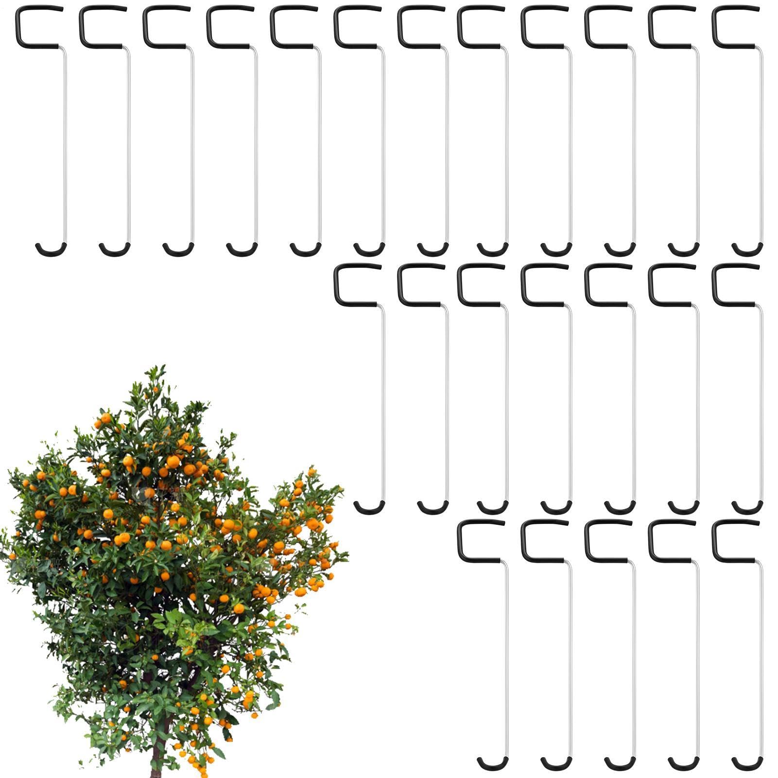 Écarteur de branches pour optimiser la récolte des cerisiers et poiriés