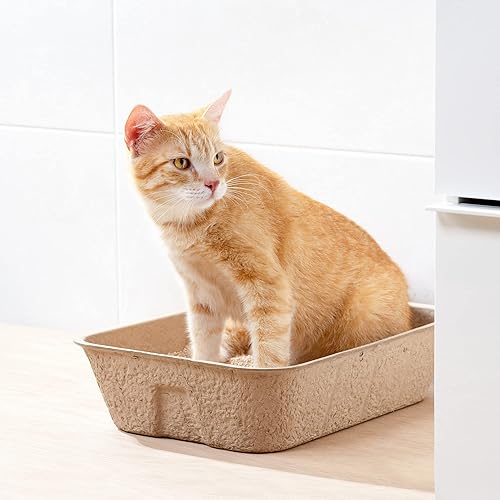 Miniatura 5 de Navaris Bandejas desechables para arena para gatos (paquete de 5)  Bandeja de cartón para gatos hecha de 100% papel  Úselo solo o como revestimiento