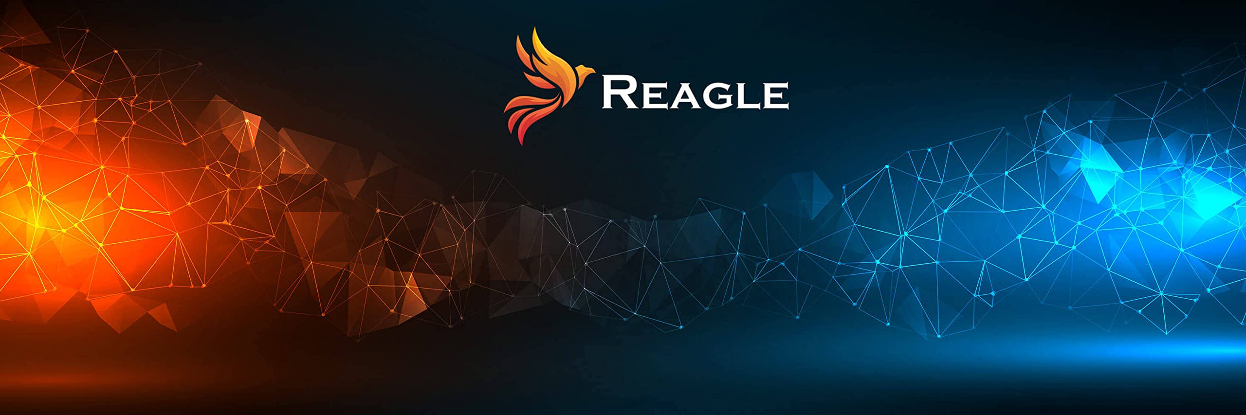Reagle GaN - Caricatore rapido USB-C da 220 W, 6 porte, con Power Delivery, QC 3.0, per laptop, iPhone, tablet, protezione multipla, potente e sicuro per i viaggi e la casa