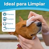 Ver la foto 6