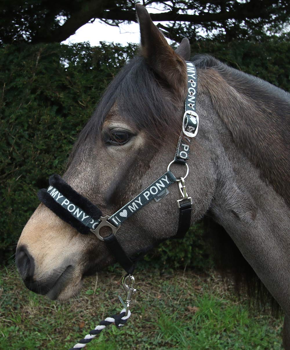 Rhinegold Love My Pony Headcollar & Rope Set