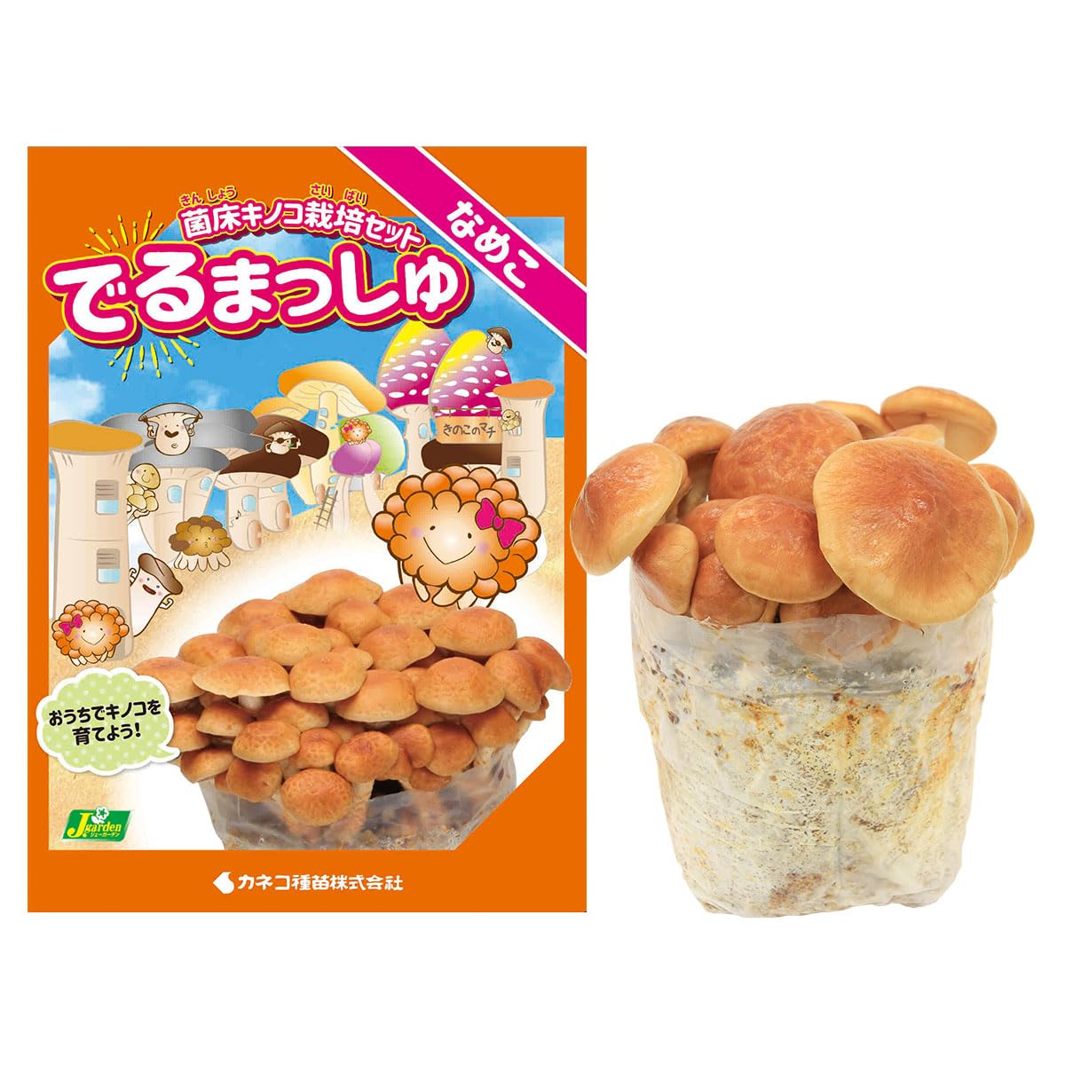 Amazon | カネコ種苗 菌床キノコ栽培セット でるまっしゅ なめこ | 種・苗