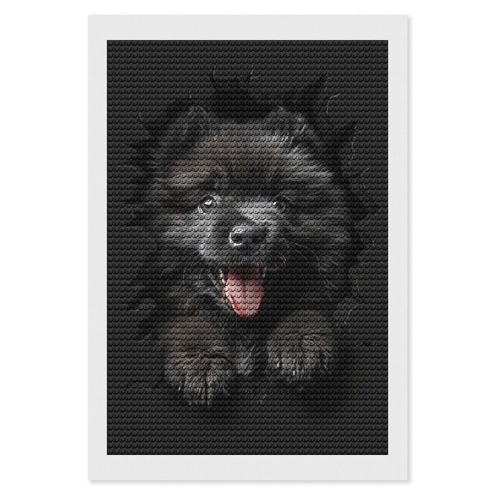Junmoney Keeshond Crystal Diamond Art Kit 8"x12", Modern Decor, Boho Decor, Wall Art Gift, Decorative Artwork, Creative Hobby