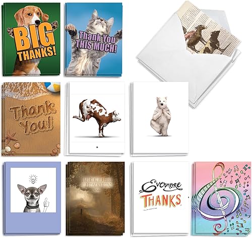 Miniatura 8 de The Best Card Company - 10 divertidas tarjetas de agradecimiento con sobres (4 x 5.12 pulgadas) Juego de notas de gratitud humorística en caja