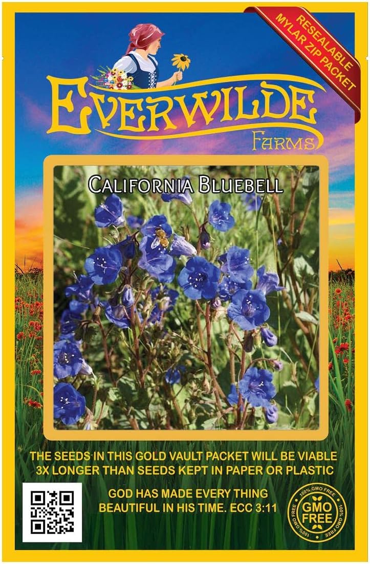 Everwilde Farms - 2000 California Bluebell Native Wildflower Seeds - Gold Vault Jumbo Seed Packet