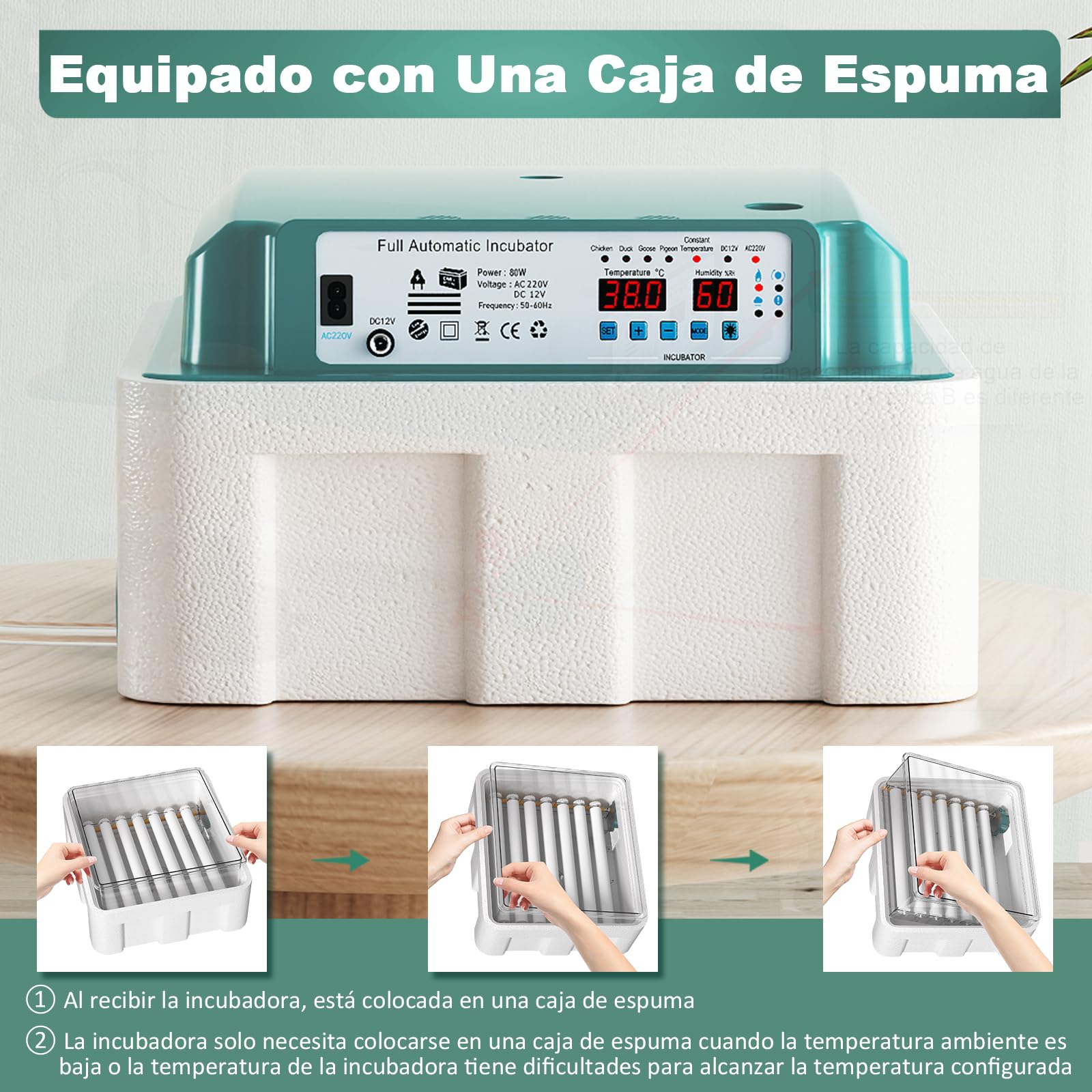CoInceptus Incubadora Huevos Gallina, Incubadora de 24-36 Huevos con Volteo Automático de Huevos y Adición Automática de Agua, Incubadora con 4 Modos de Incubación Automáticos