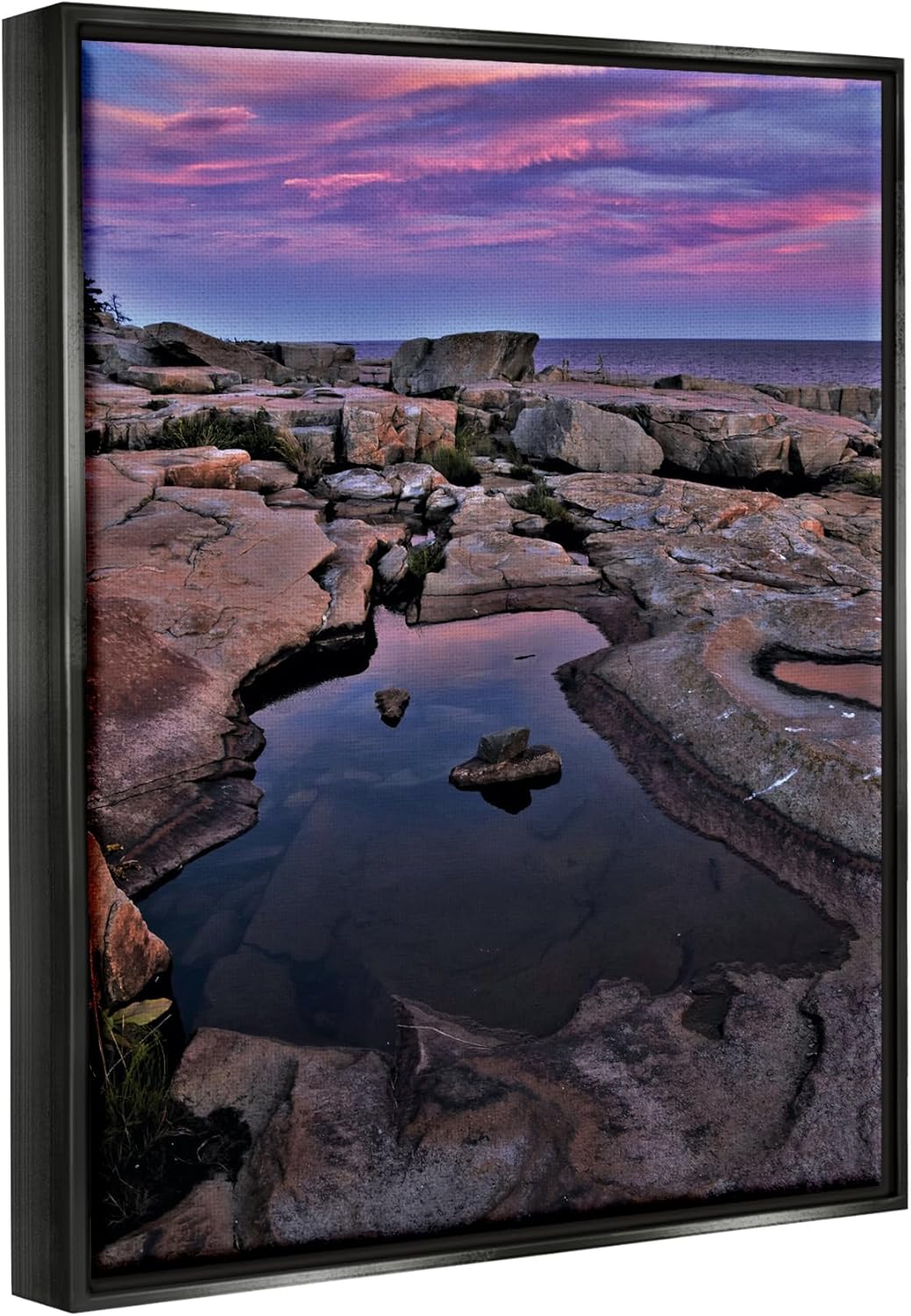 Stupell Industries Tide Pool Landscape Framed Floater Canvas Wall Art by Joseph Elliott