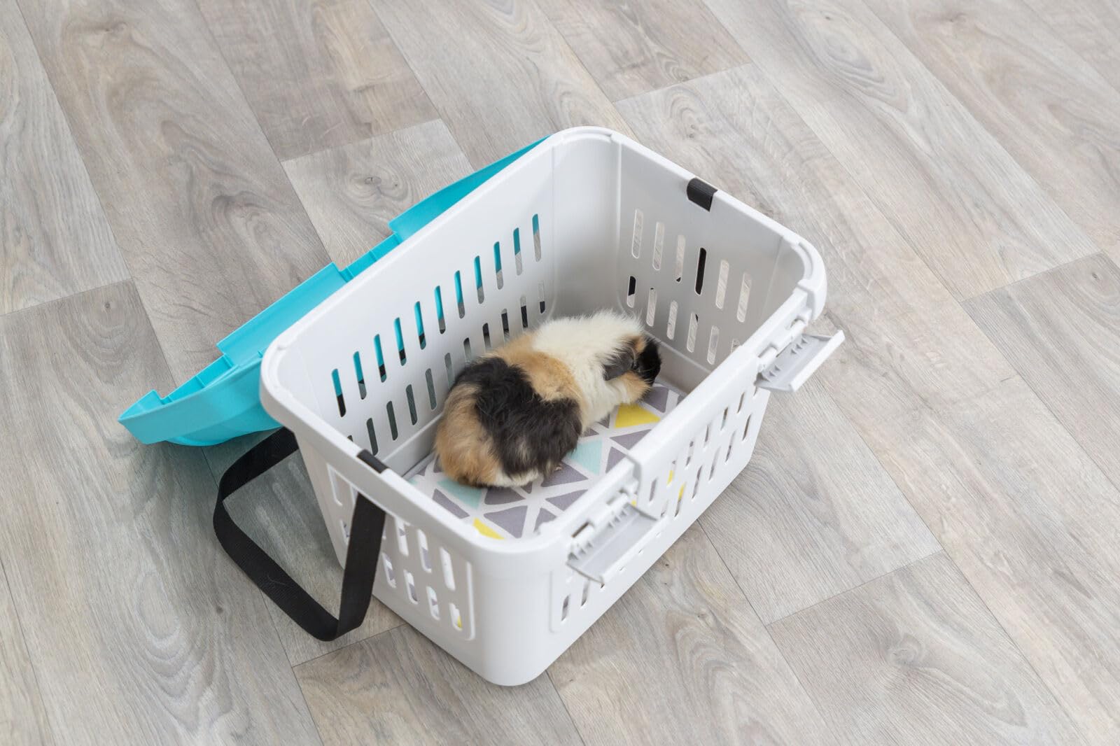 TRIXIE Transportín Midi-Capri para Pequeños Mamíferos