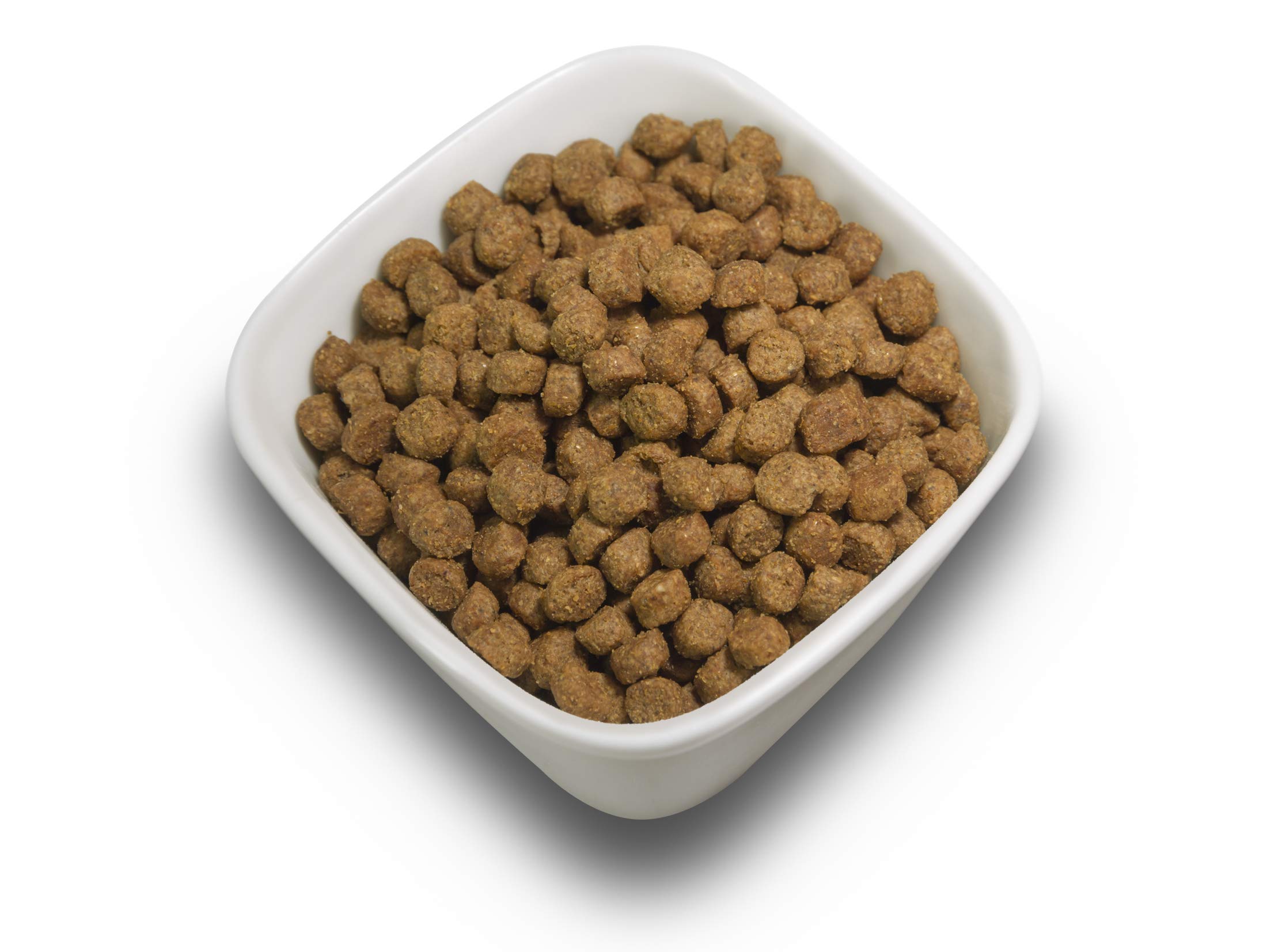 SALiNGO Katzenfutter trocken, Geflügel und Hering Light, Diätfutter für übergewichtige Katzen (2x2kg)