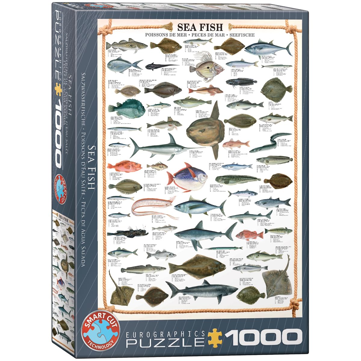 Eurographics 6000-0313 Sea Fish Puzzle, Various, 48 x 68 cm