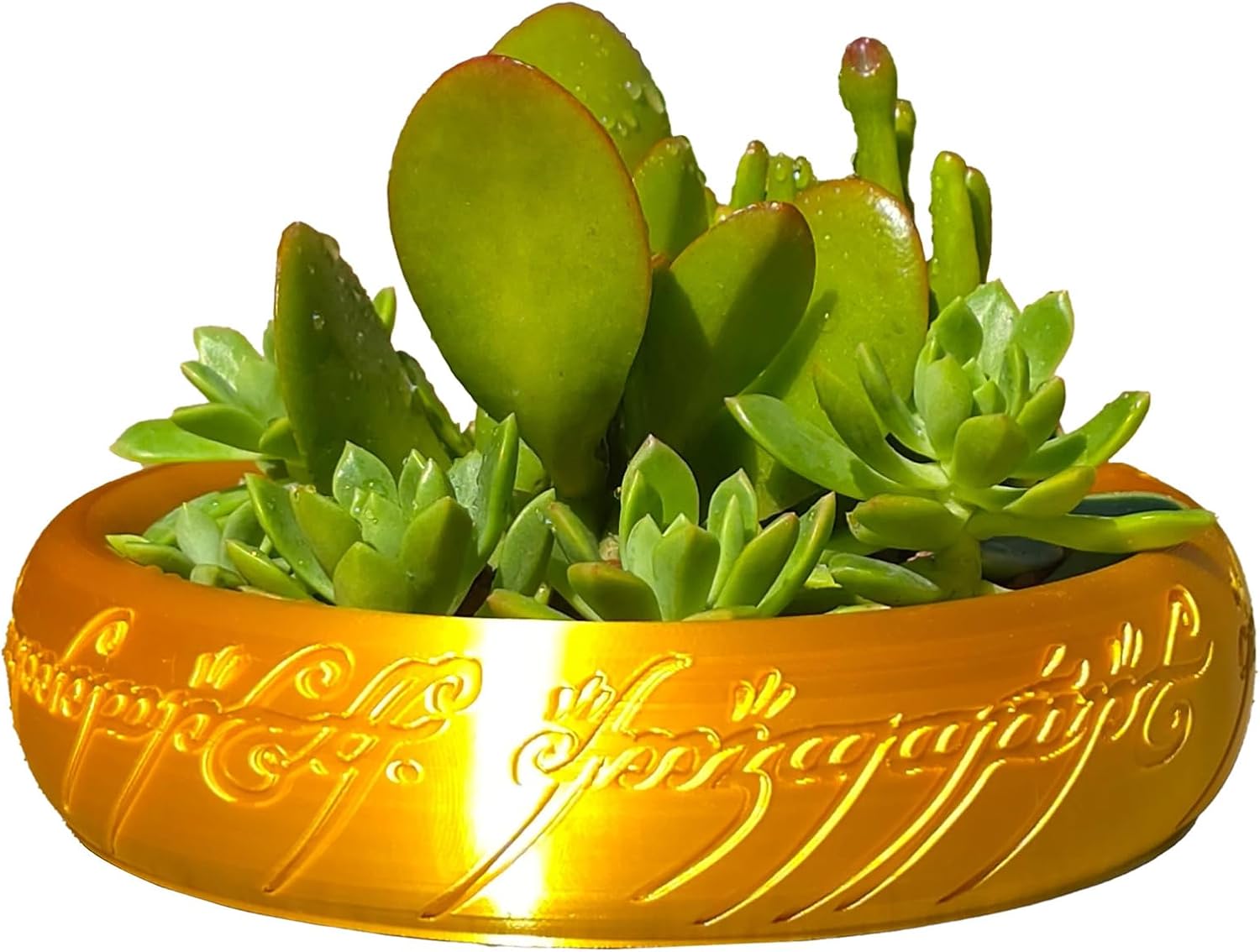 One Ring Succulent Planter Decor, One Ring Cacti & Bonsai Planter & Catchall, Inspired by The Legendary Ring, Gift for The Ring Fans