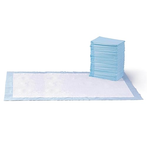 Amazon Basics Leakproof Dog and Puppy Pee Pads with 5-Layer Quick-Dry Surface for Potty Training, Standard Absorbency, Giant, 27.5 x 44Inch, Pack of 40, Blue & White - Giant (40 Count)