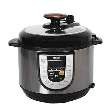 AMERICAN MICRONIC INSTRUMENTS - Imported Electric Rice & Bhaji Cooking Appliance, 5 Litre Inner Container
