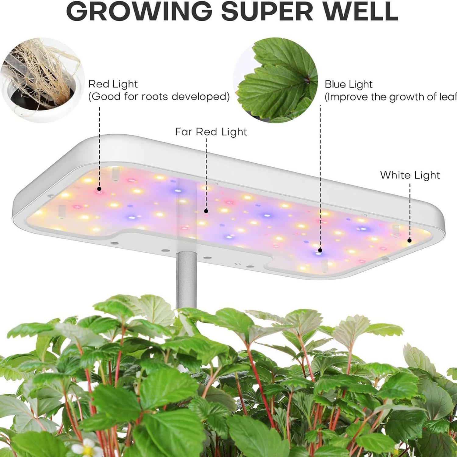 Accesorios Decorativos para el hogar, Sistema de jardín hidropónico de Hierbas aromáticas para Interiores con luz LED de Cultivo y Temporizador automático: