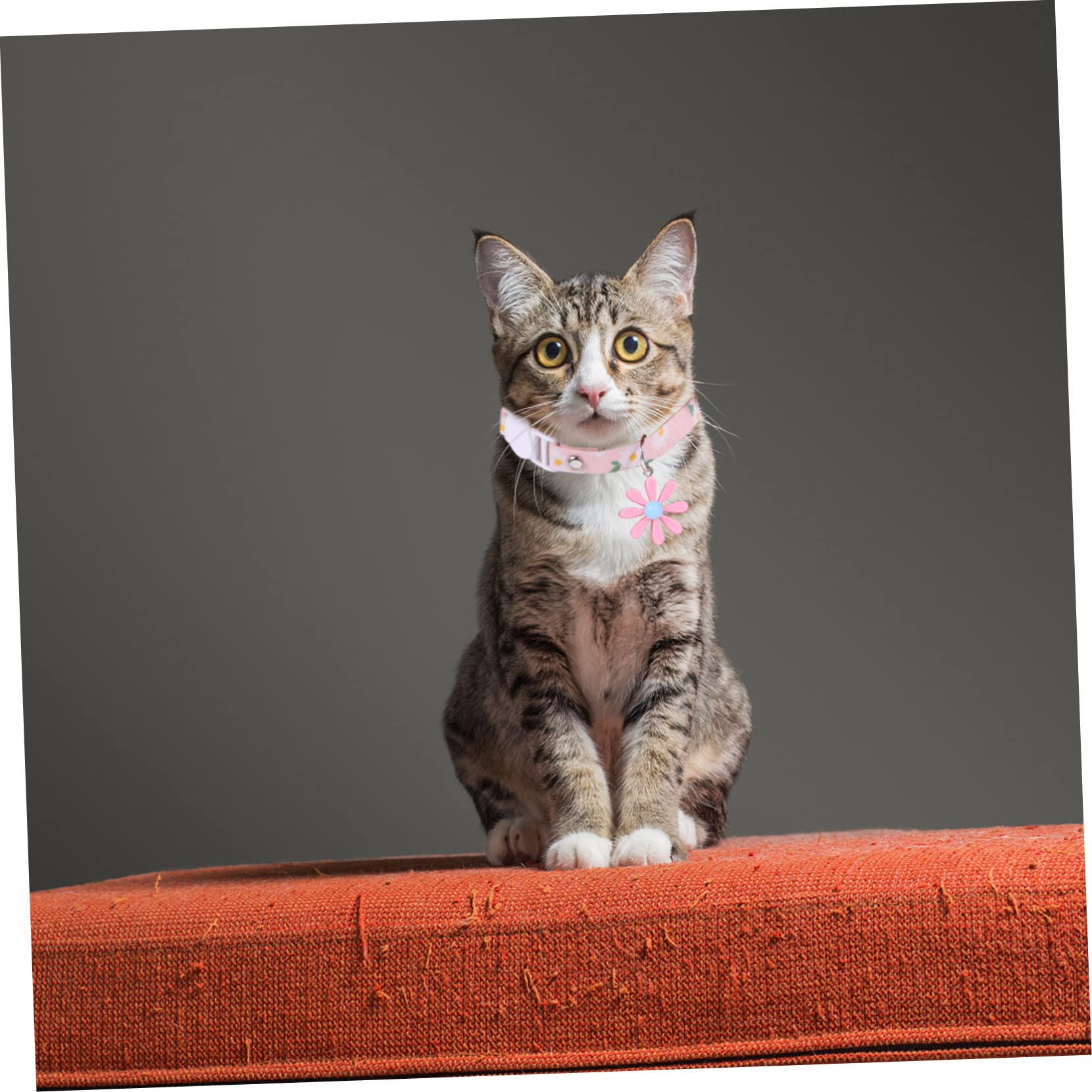 Happyyami 12stücke Teiliges Verstellbares Katzenhalsband Gänseblümchen-anhänger Für Kätzchen Farben Und Sicher Und Komfortabel Leicht Anzulegen Und Anzupassen